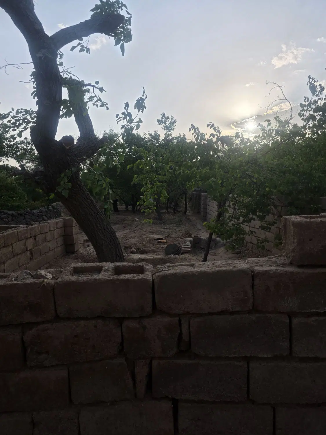 فروش یامعاوضه خونه باغ روستای حاجی باقری. تنگ چنار