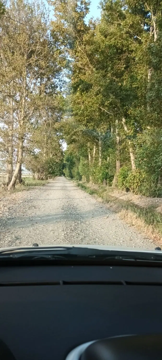 باغچه زراعی ۲۵۰ متری عباس آباد خیابان کاله
