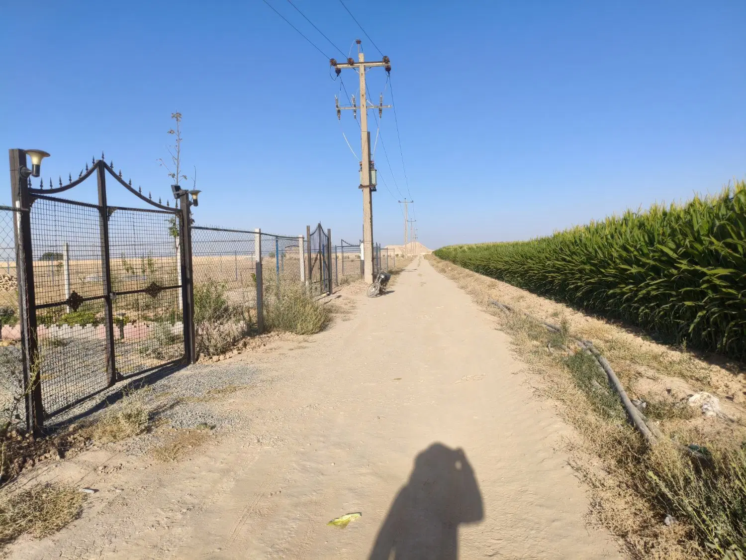 زمین باغی محمدیه