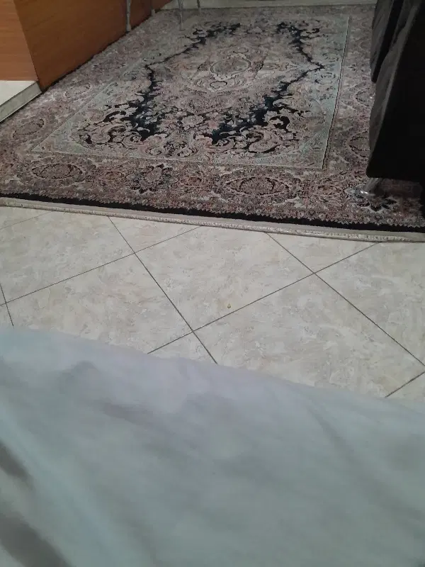 همخونه میخوام