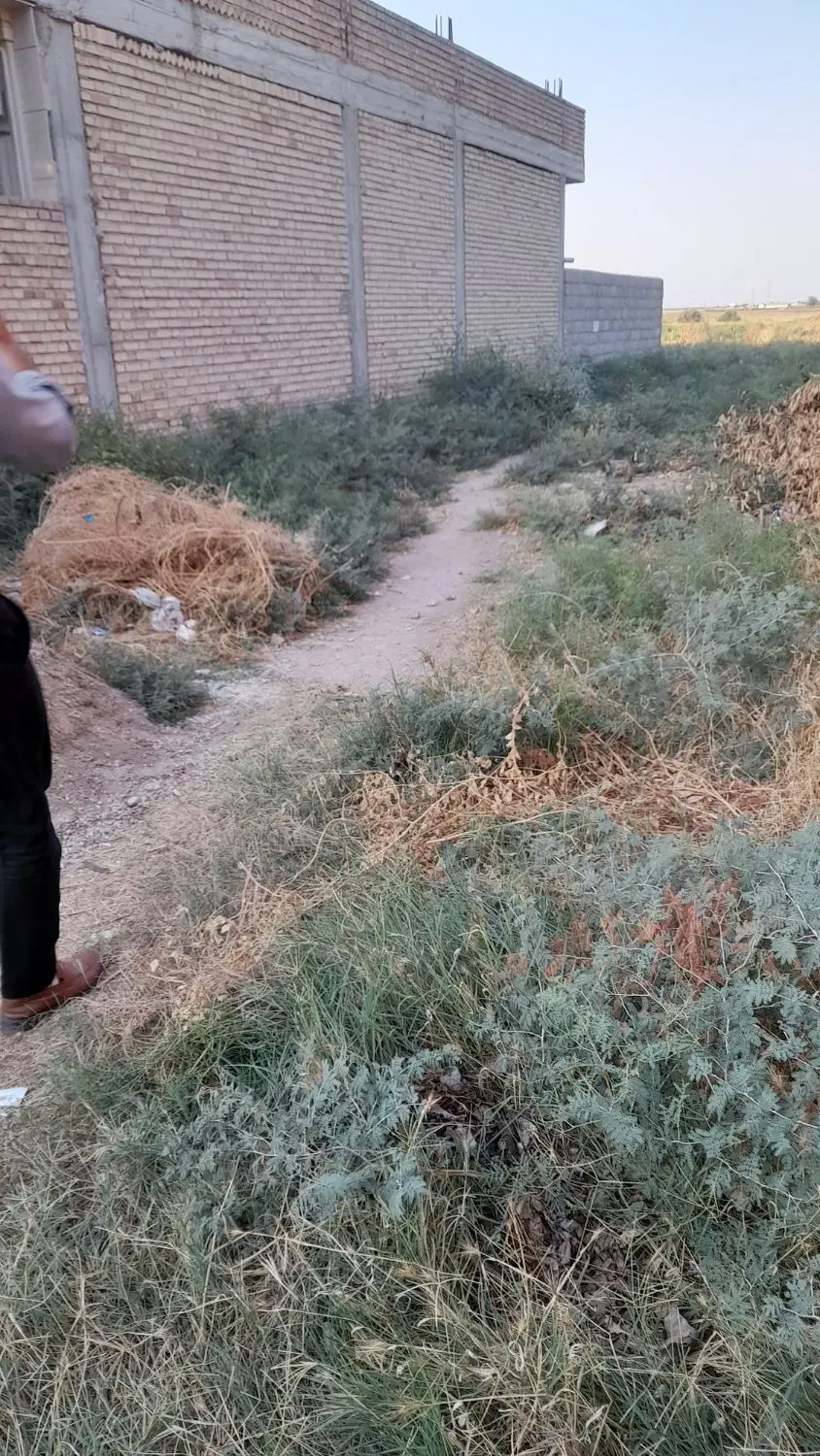 فروش ۲۰۰ متر زمین پلی حاجی