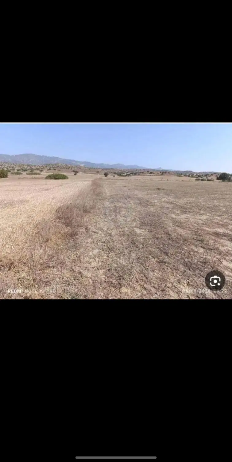 زمین زراعی اجاره