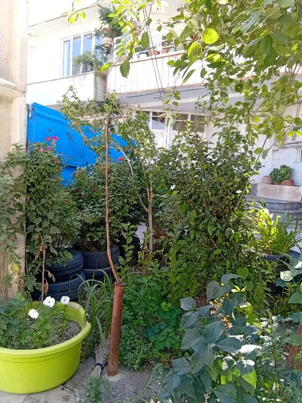 اجاره آپارتمان .گلشهر۲