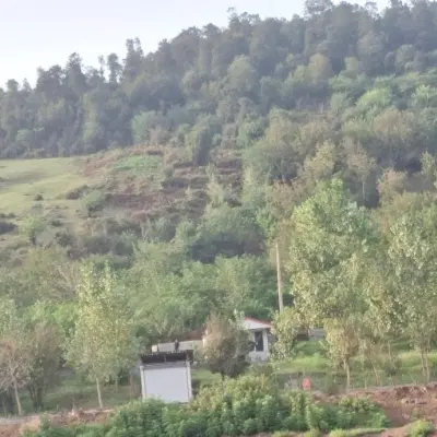 باغ شهر تلاش