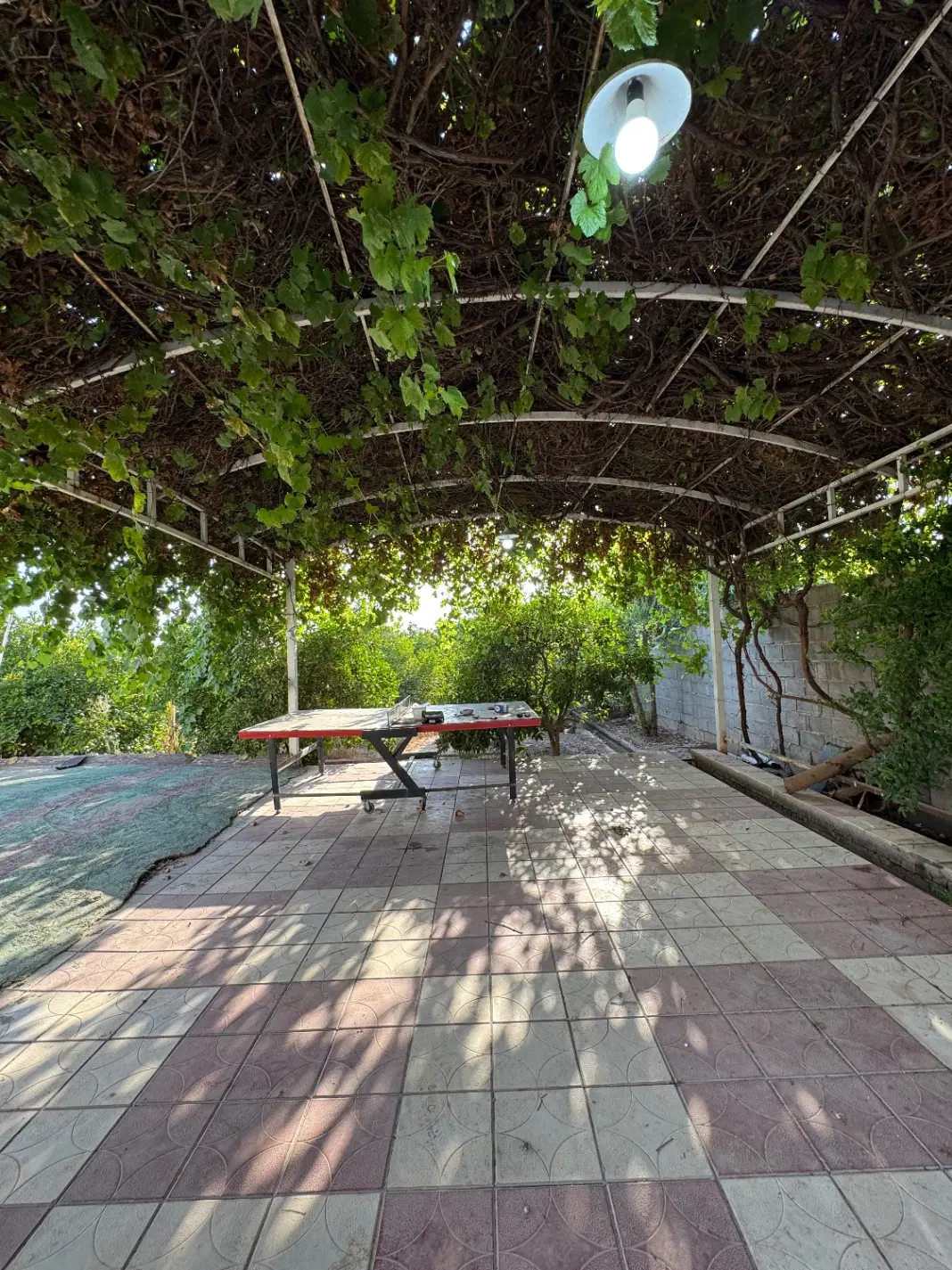 ۱۲۰۰ متر جاده خوشبختی