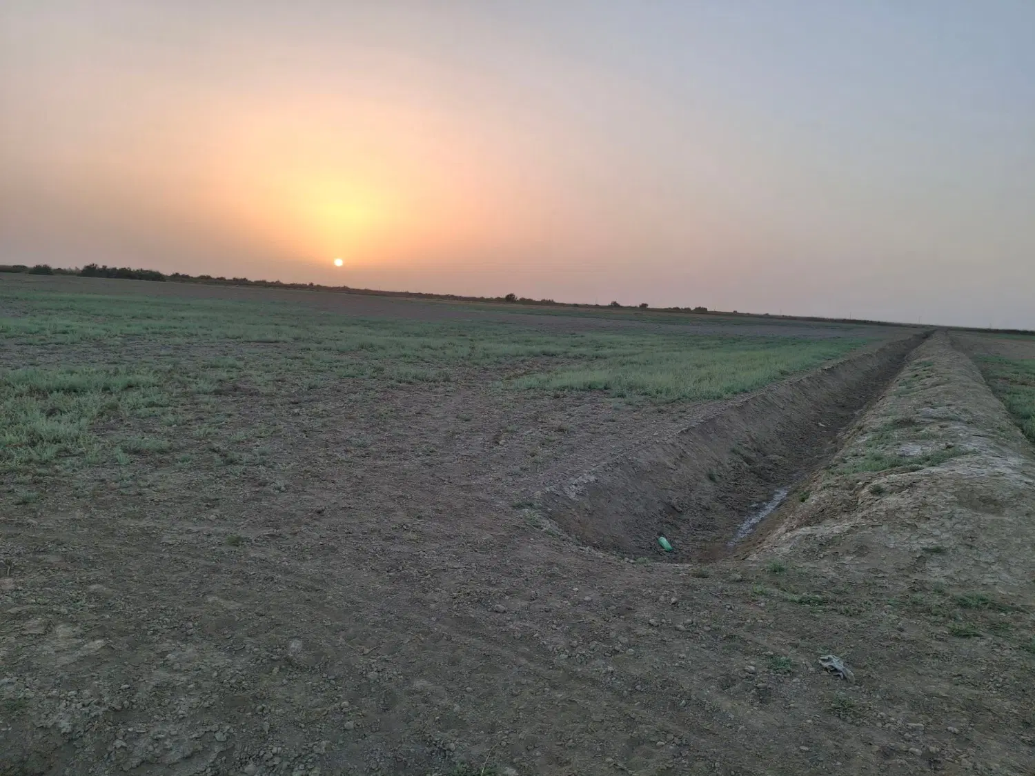 زمین کشاورزی