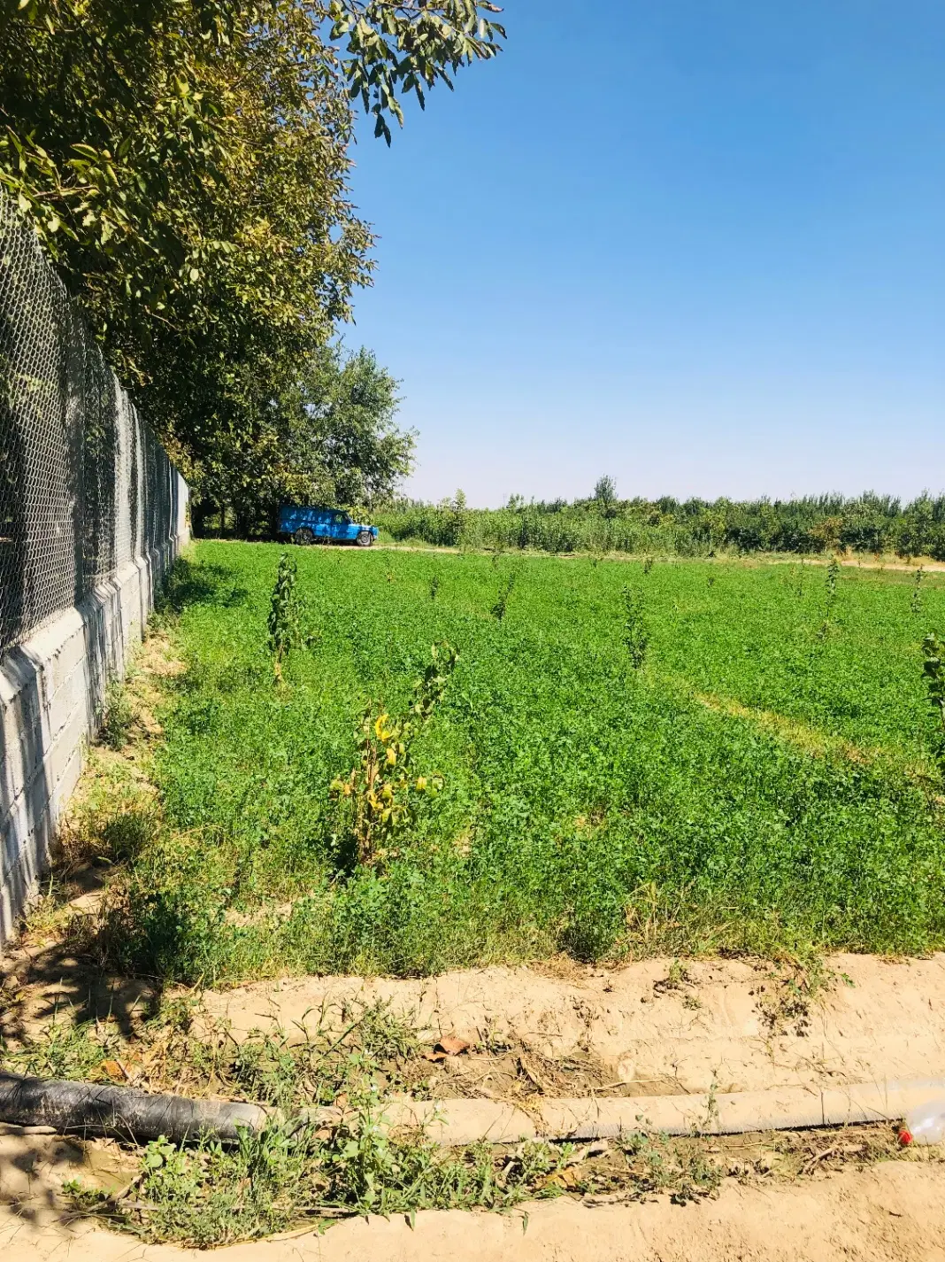 فروش زمین کشاورزی