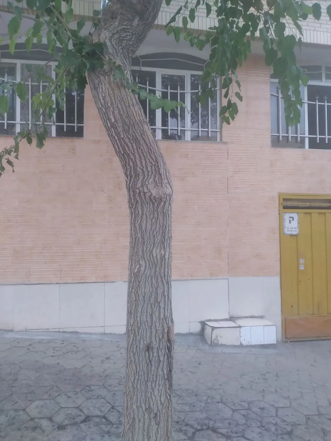 منزل مسکونی سده لنجان
