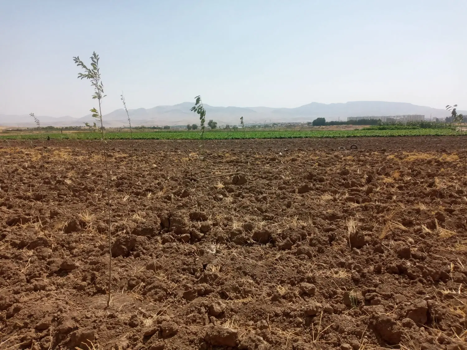 زمین آبی ۲۰۰۰ متر