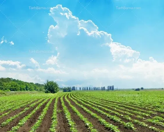 فروش زمین کشاورزی فوری