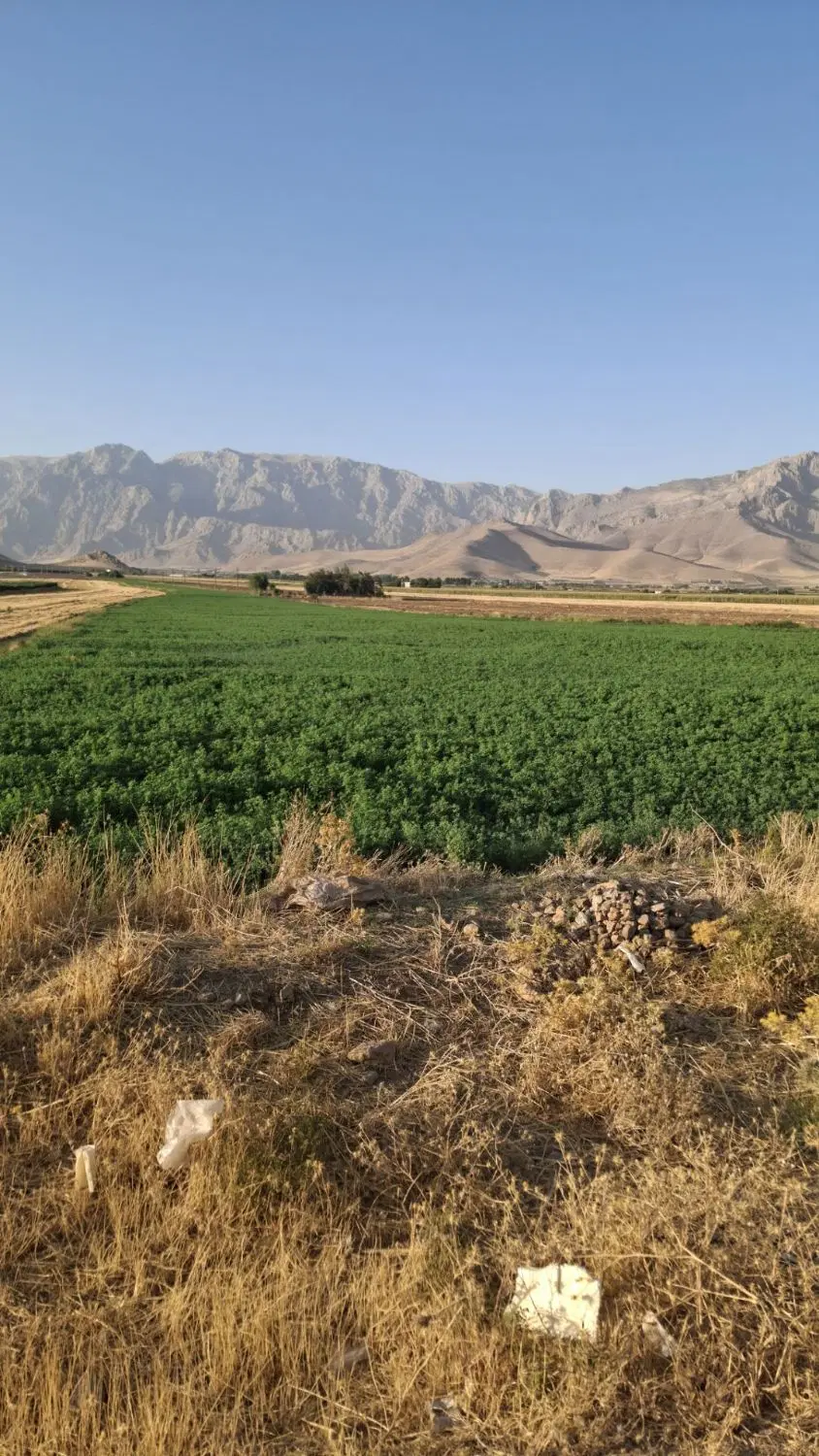 زمین کشاورزی دارای کنتور آب