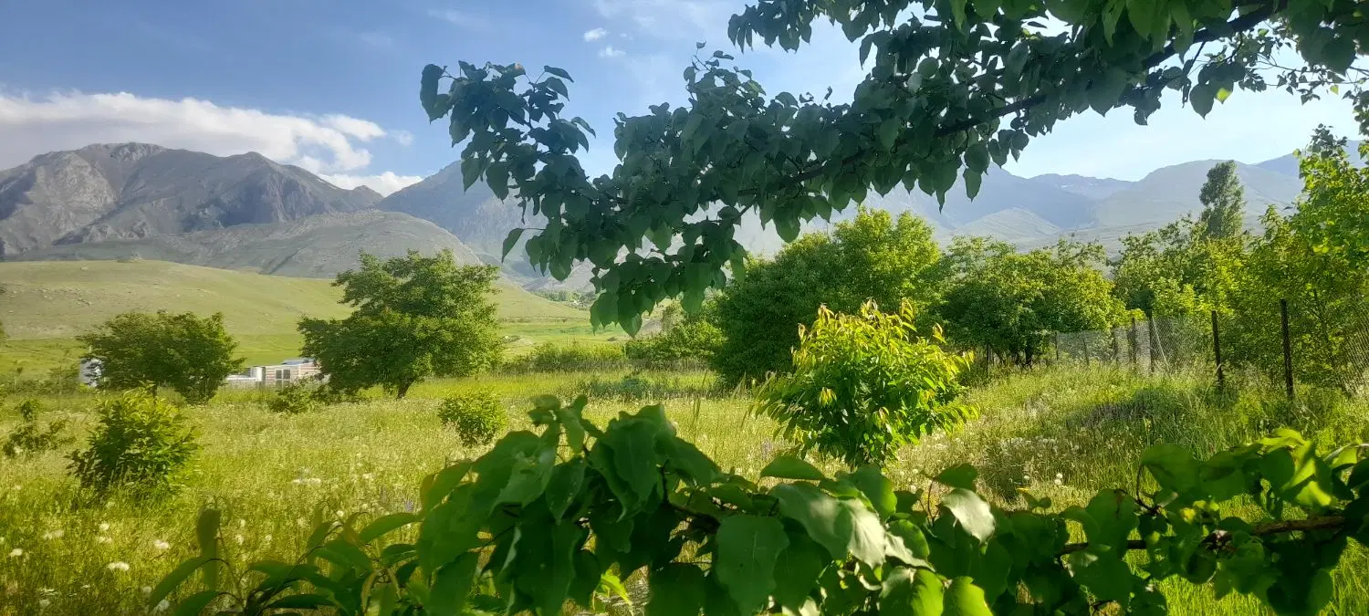 باغ در روستای توریستی کوسچ
