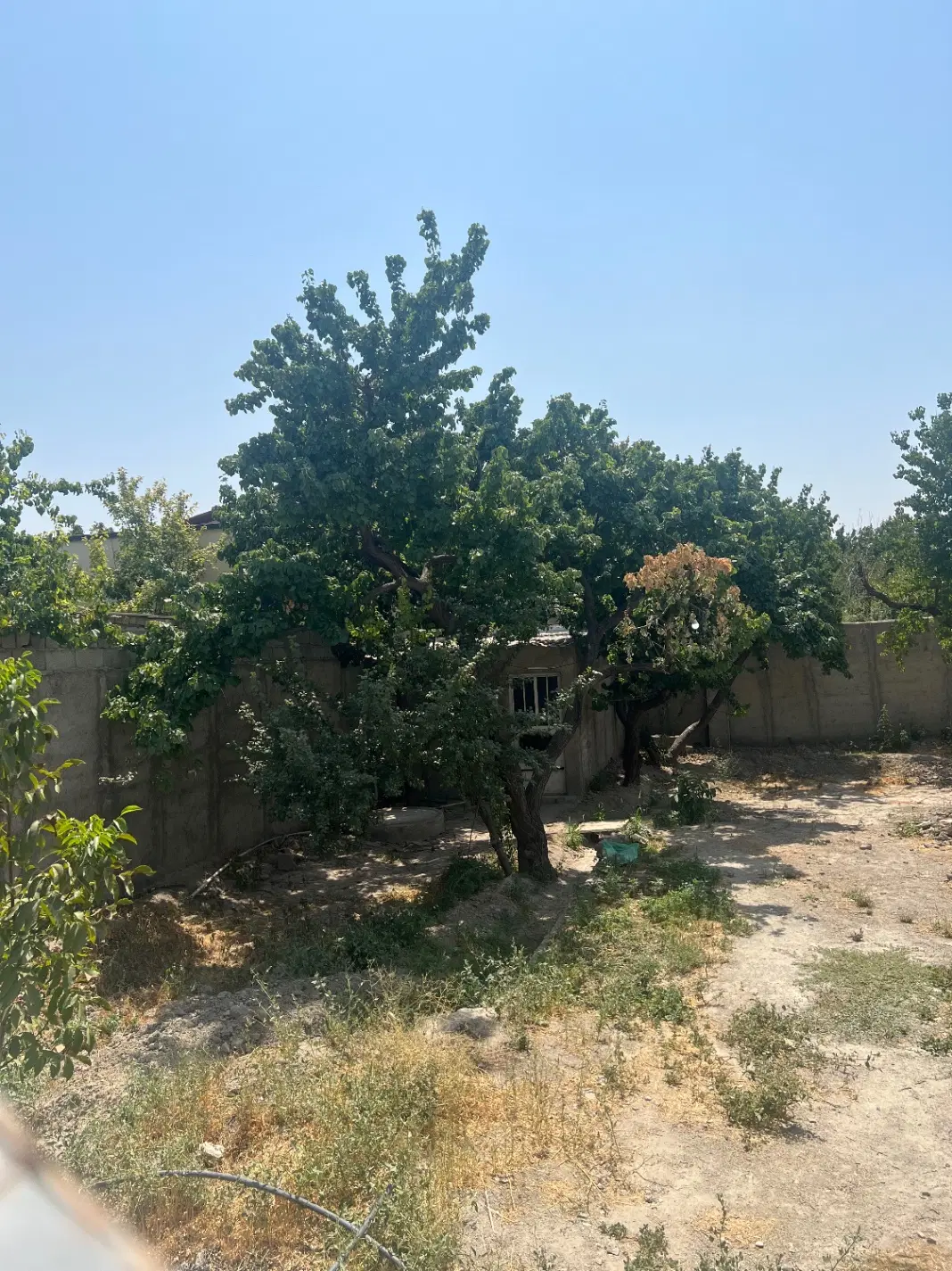 باغچه ملارد خیابان رضوان