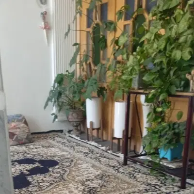 خونه مهدیه