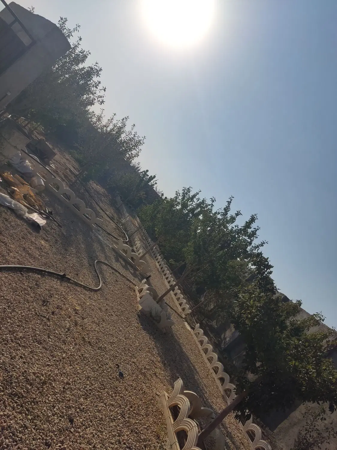 باغ یکانه