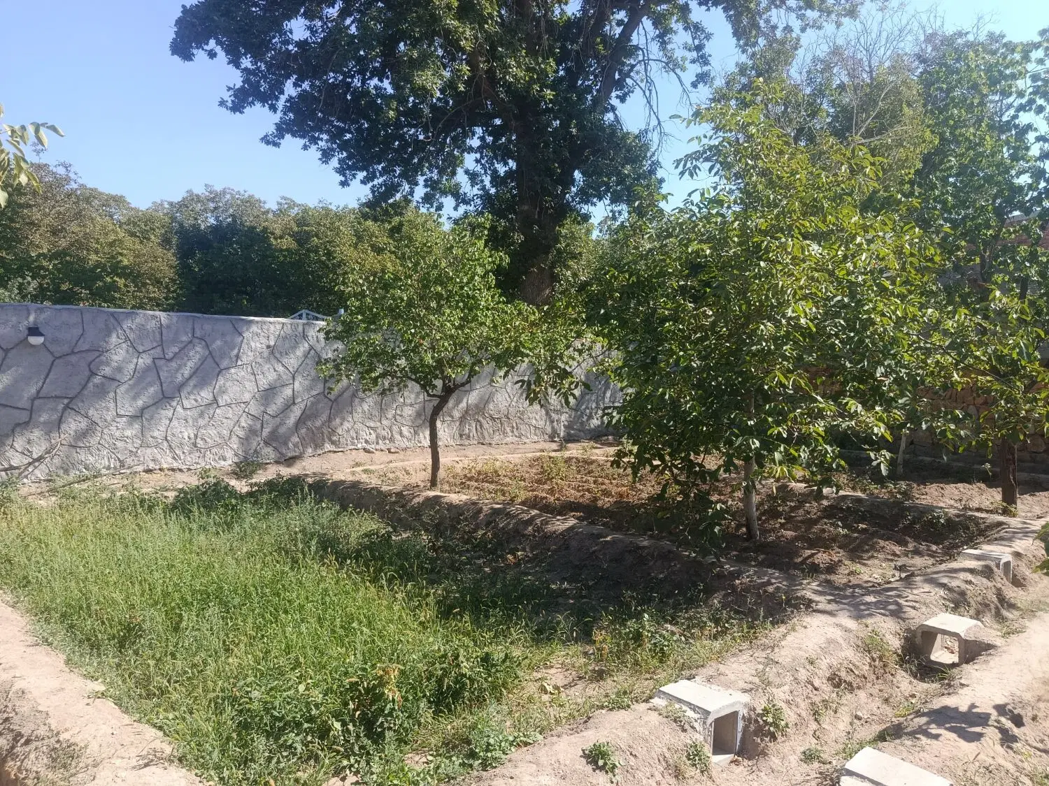 باغ ۵۰۶متر در اسکو