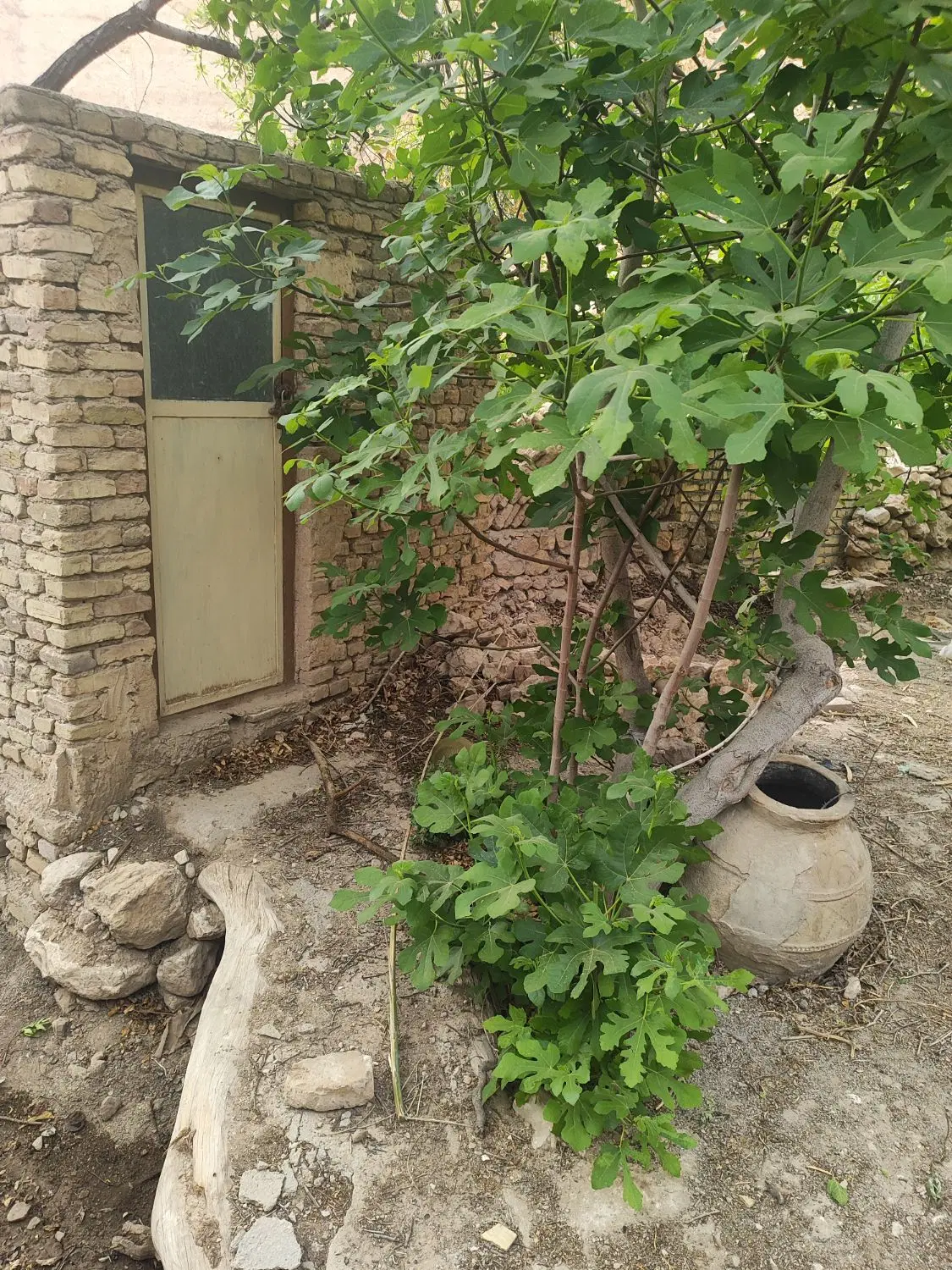 زمین میدان نماز 228متر سند ششدانگ