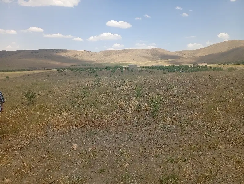 2500متر زمین کشاورزی