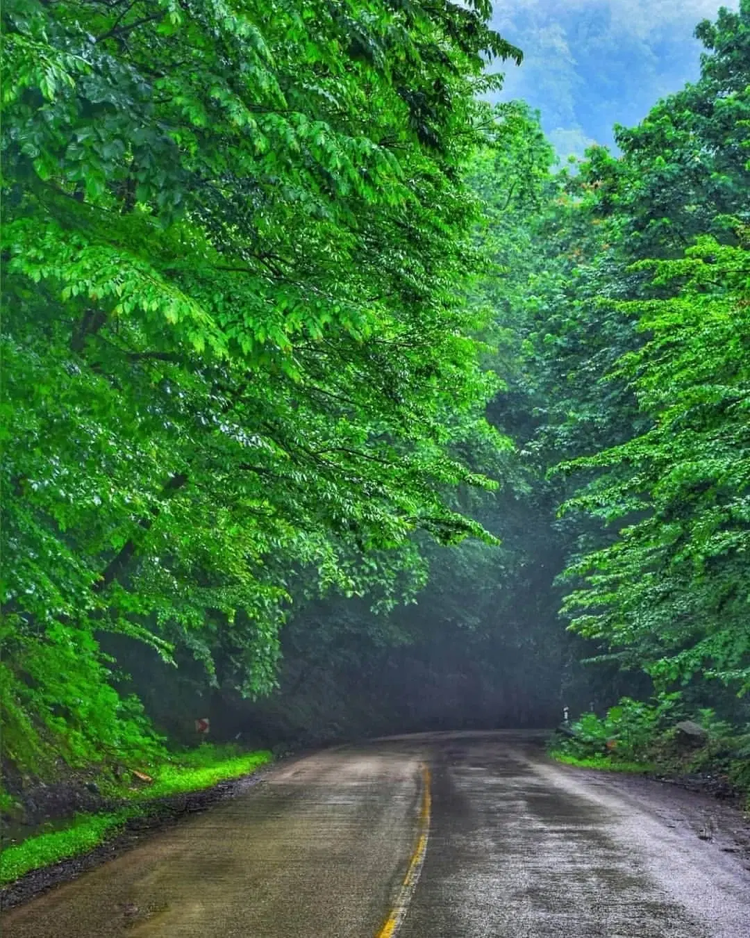 فرصت طلایی برای ساخت ویلای رویایی در قلب بورایش