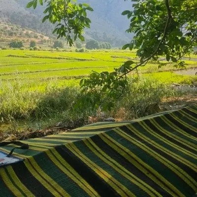 زمین مسکونی سروک
