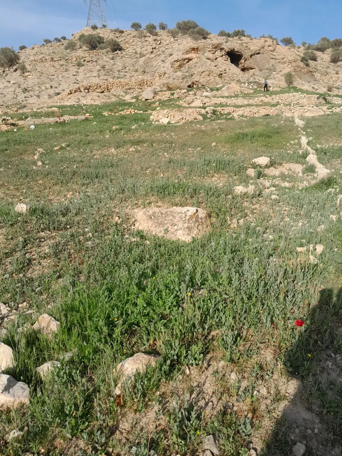 زمین فروشی به متراژ ۶۴۵متر