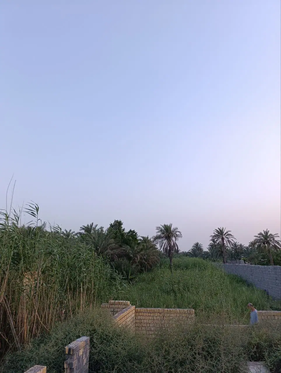 زمین کشاورزی به همراه منزل نیم ساخته