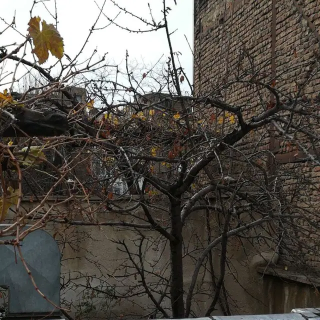 خاوران فاز ۲  دوقطعه کنار هم بالا خط لوله گاز