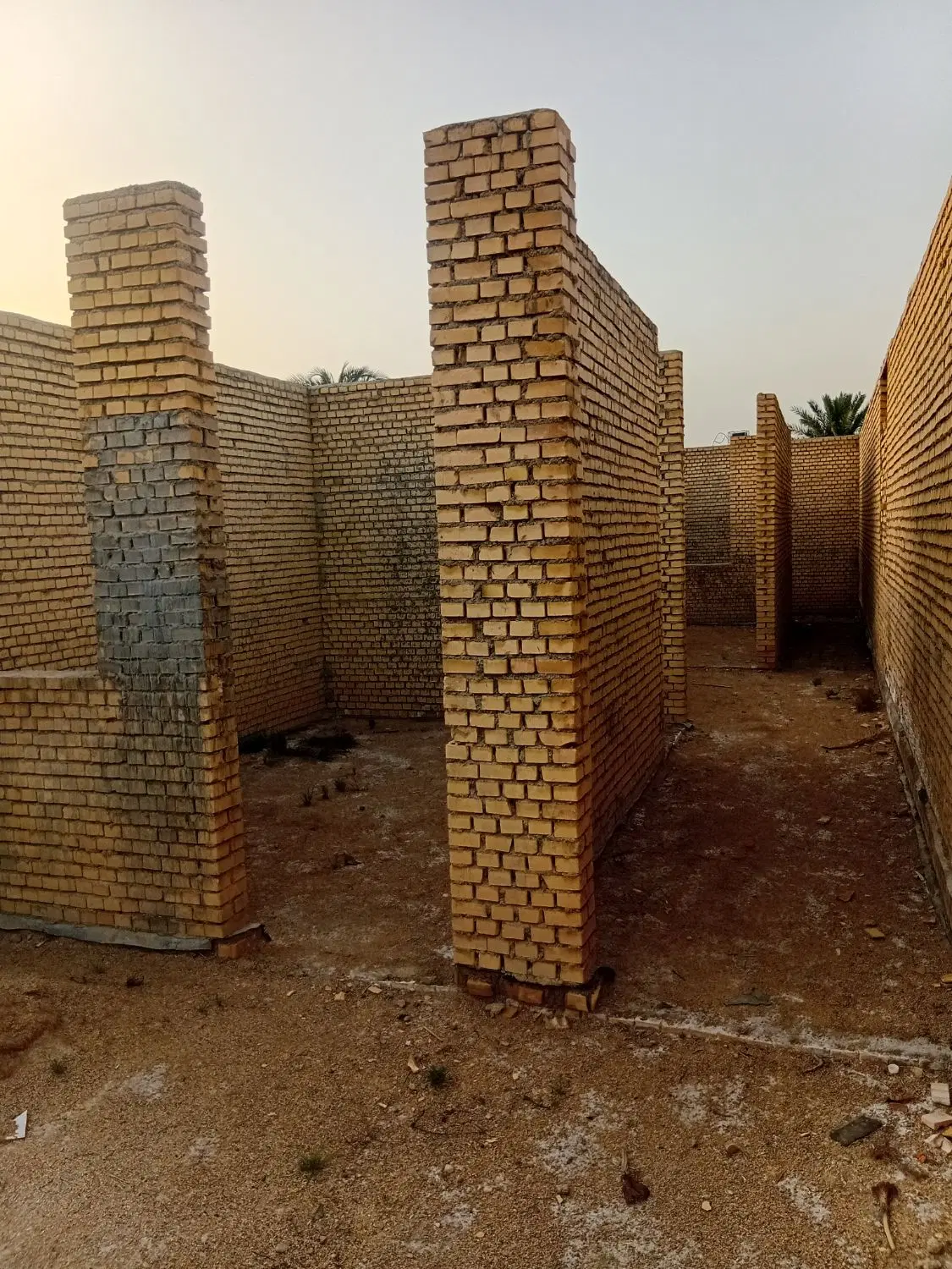 شادگان