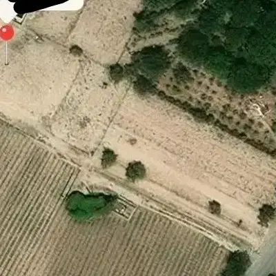 ۱۰۰۰مترزمین ابراهیم بیگی