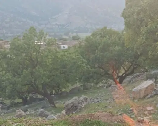 زمین مسکونی و‌تجاری