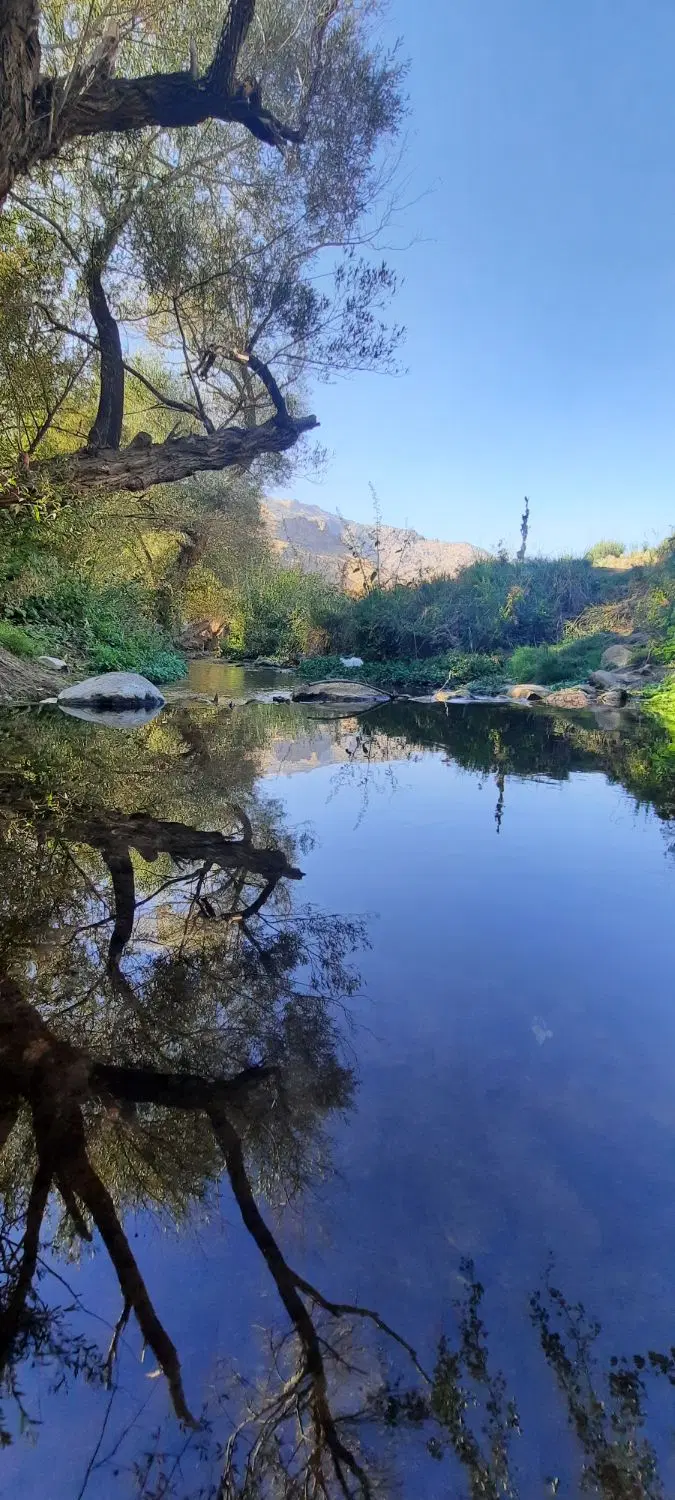 دو دانگ جنوبی مصلی (شهرداری)