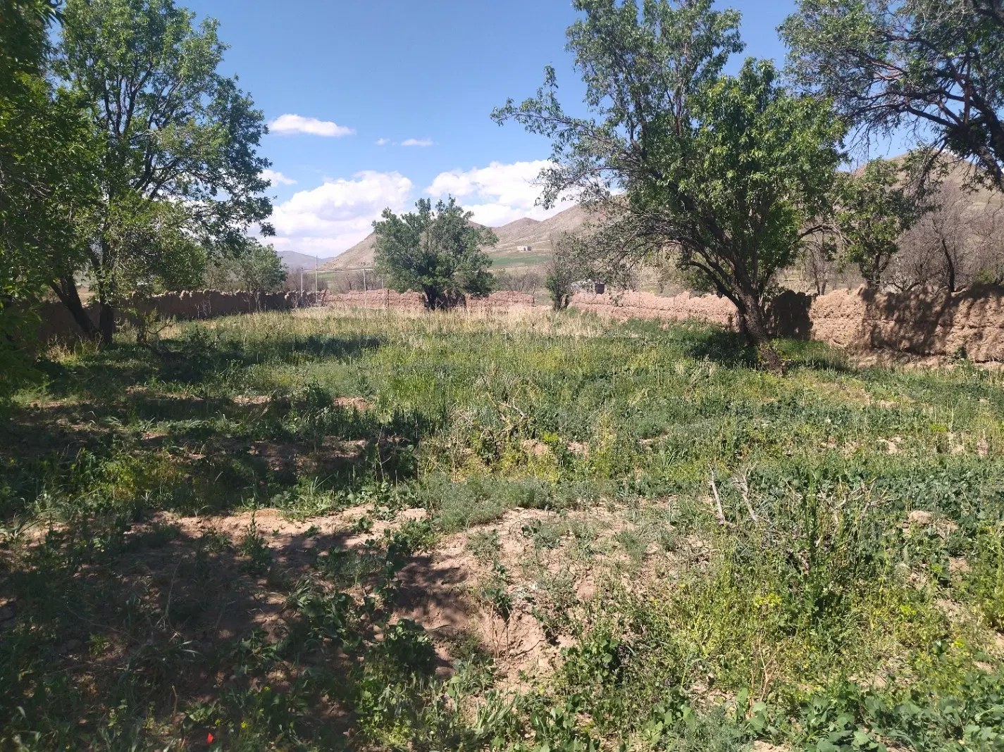 فروش دوباغچه کنارهم روستای خوش آب وهوای سرخده....