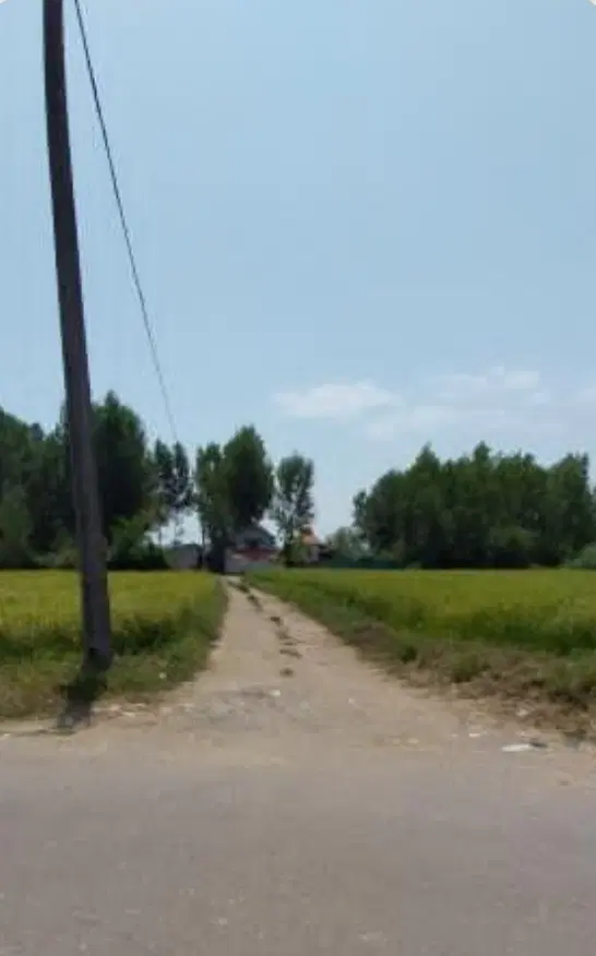 زمین باغی در پشت فرودگاه