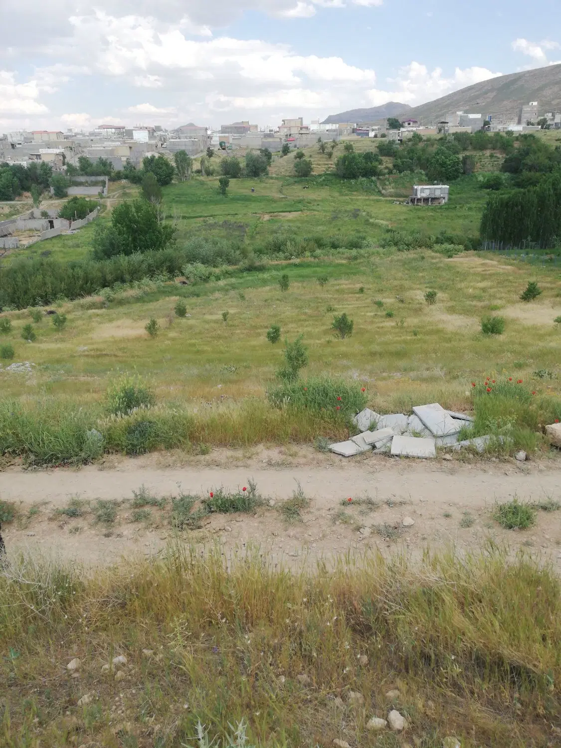 زمین