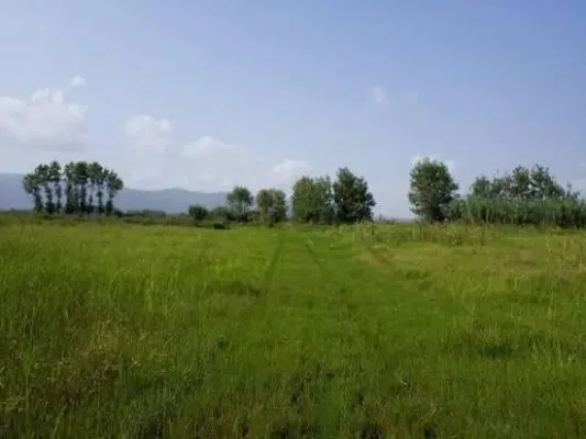 زمین با ویو زیبا به متراژ 2400 روستای کاس احمدان