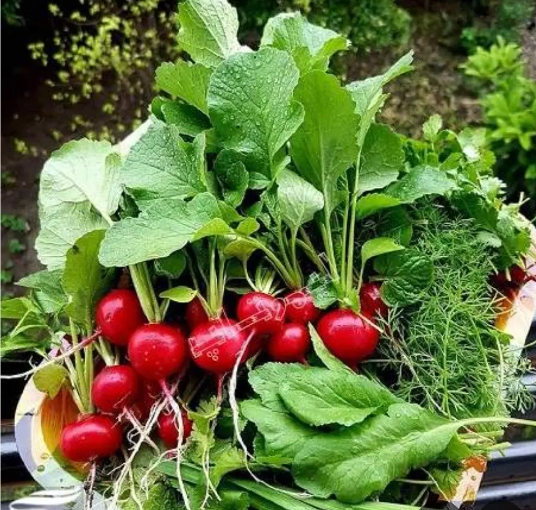 اجاره قسمتی از مغازه برای سبزی فروش