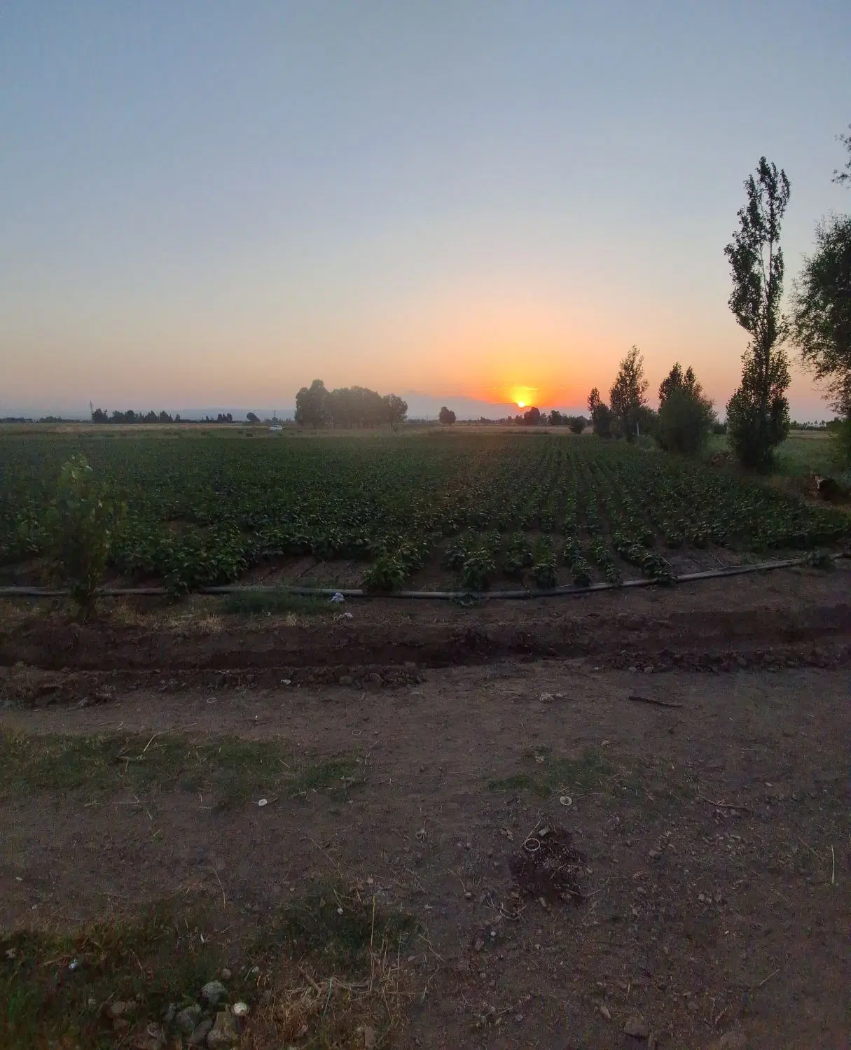 زمین شهرک الهیه