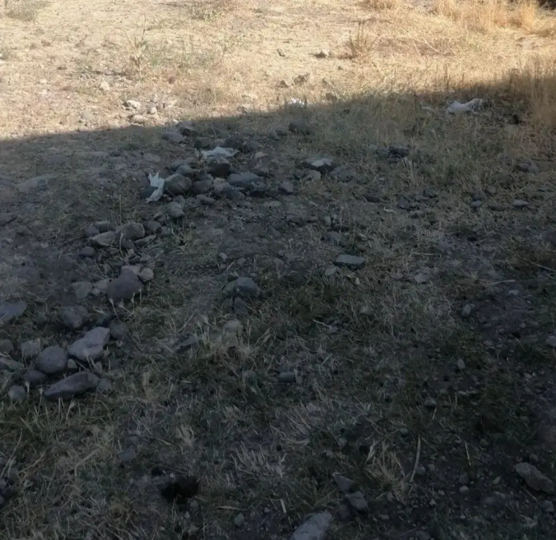 زمین مسکونی