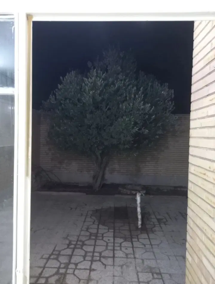 خانه اجاره ایی همکف