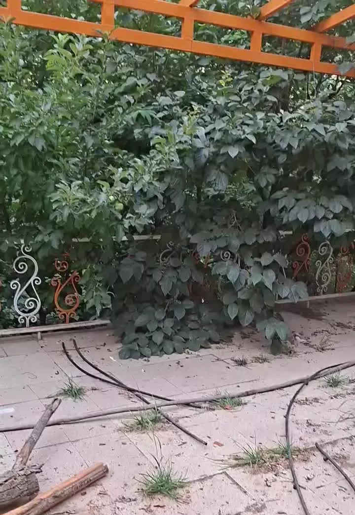 فروش باغ دربهترین نقطه گنجنامه همدان