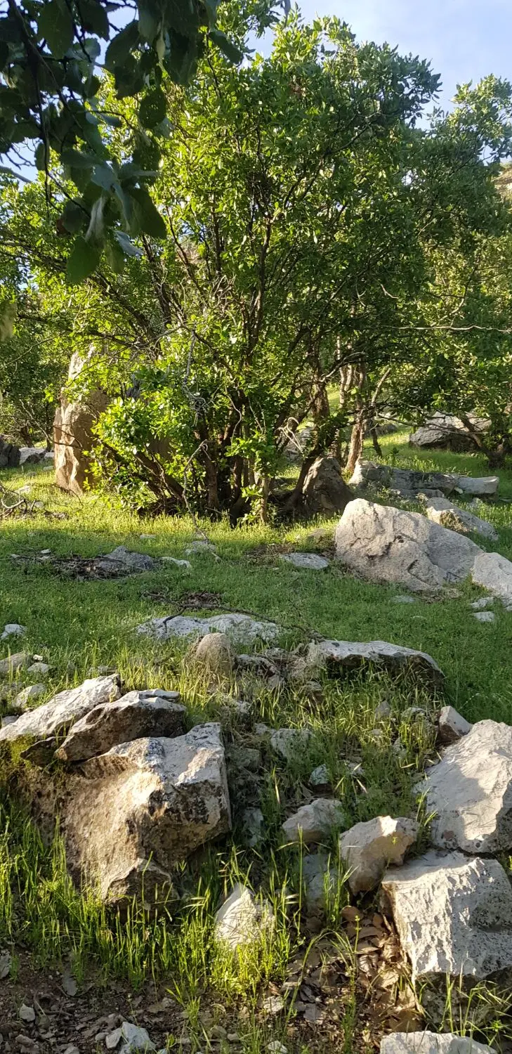 ۱۲۰متر زمین ناصرالدین