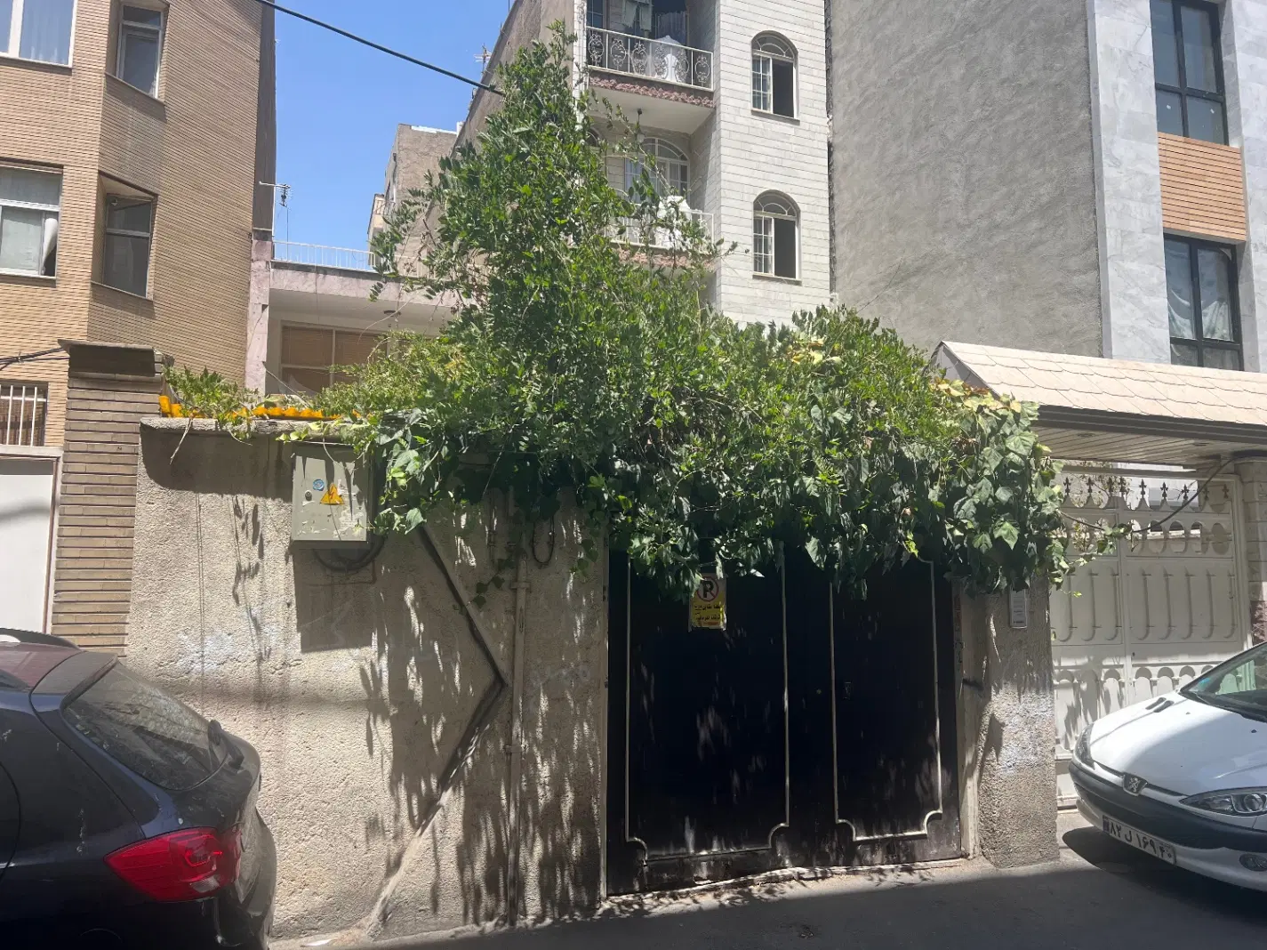 کانگی سه دانگ  از شش دانگ