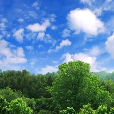 باغ ویلا غرب اصفهان