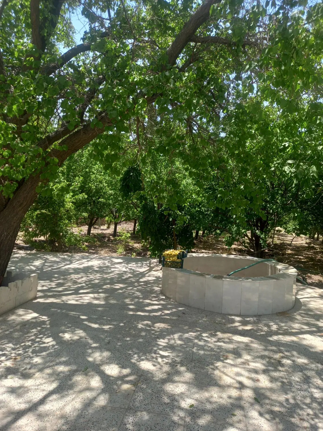خانه باغ
