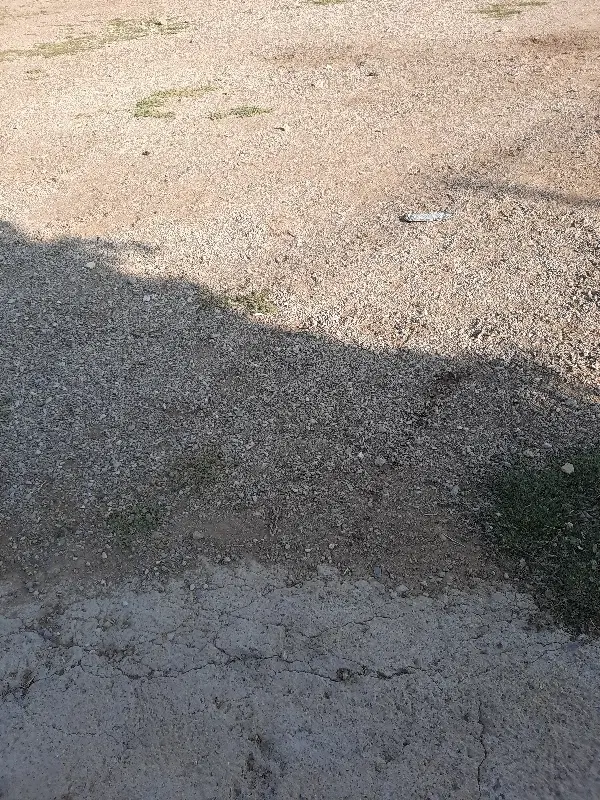 یک قطعه زمین مسکونی