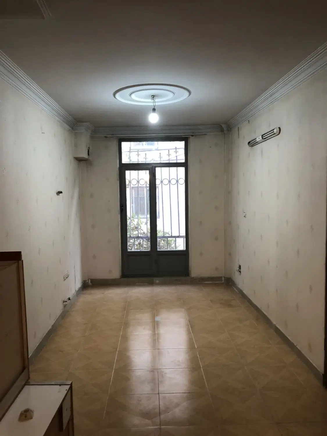 ۴۵م گلبرگ غ صفایی