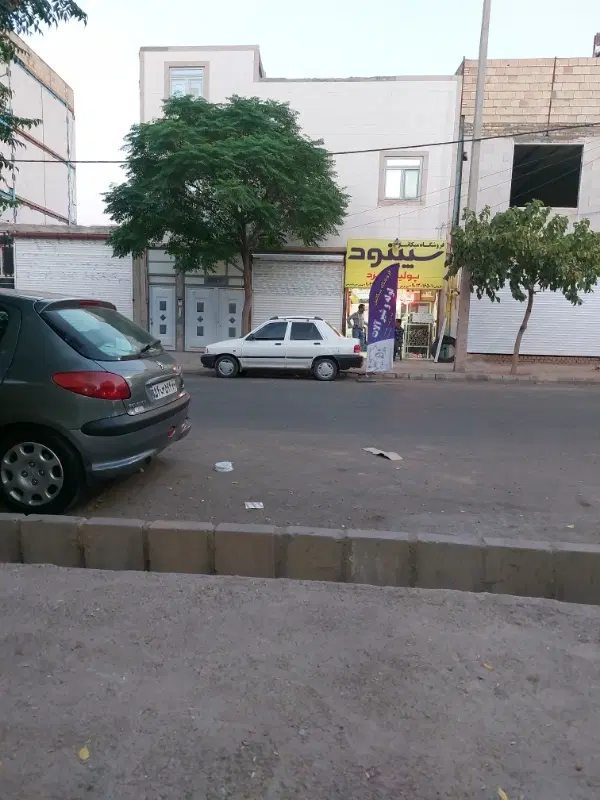 حاشیه عباسپور
