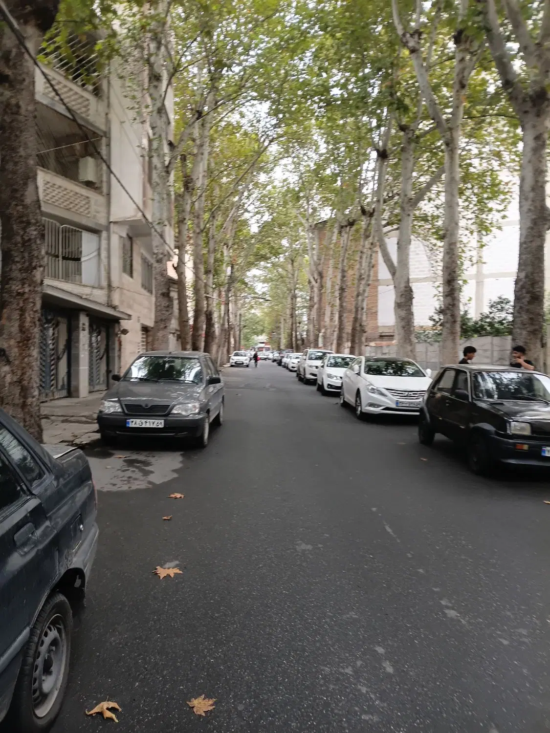 ۶۰۰متر          محدوده گرگانپارس