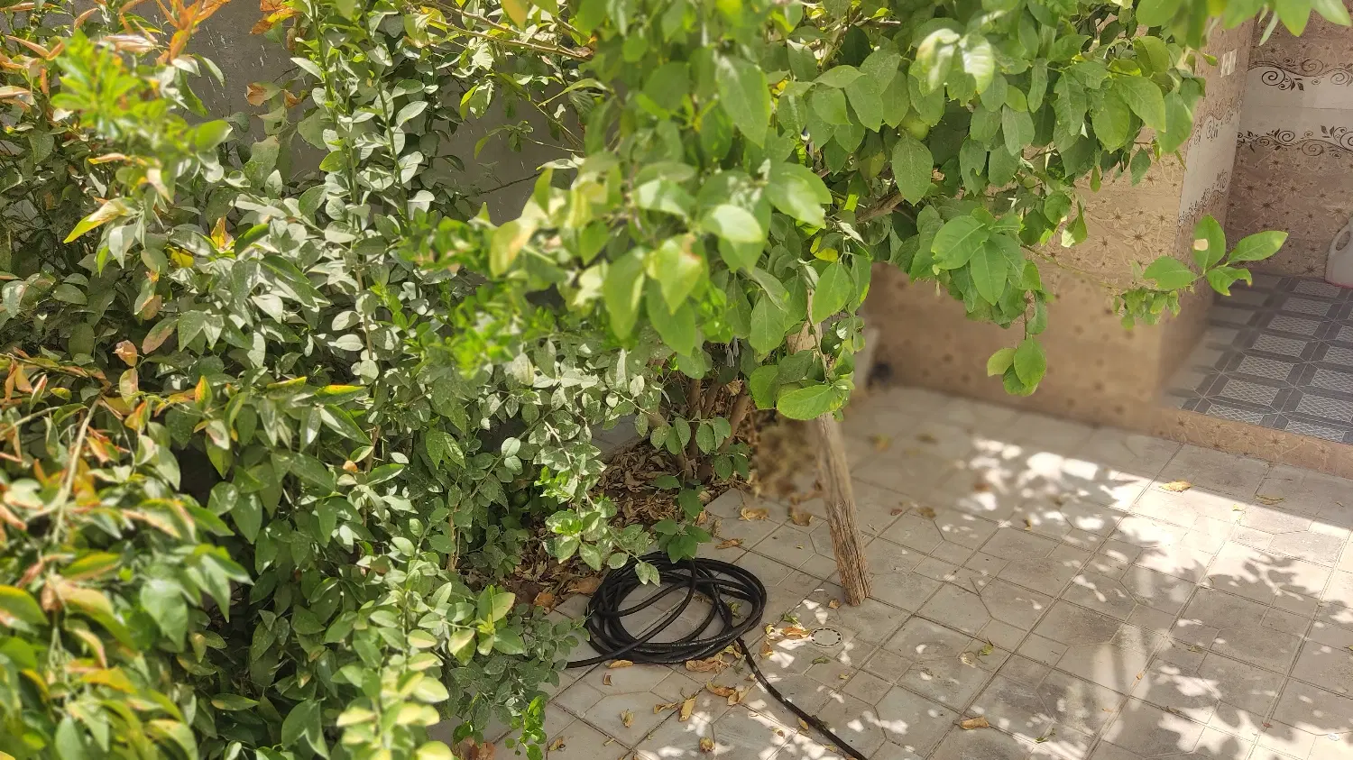 فروش آپارتمان