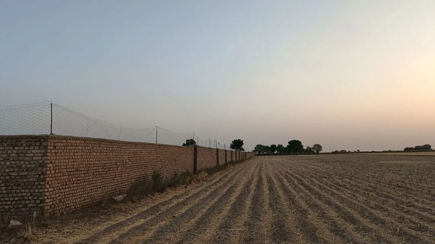 باغچه